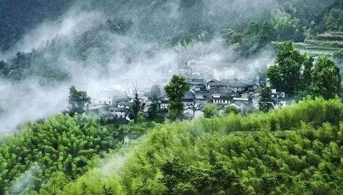 免費(fèi)試住丨麗水 過云山居3天2晚,回歸本真,體驗(yàn)自然,山野間的極致避暑勝地