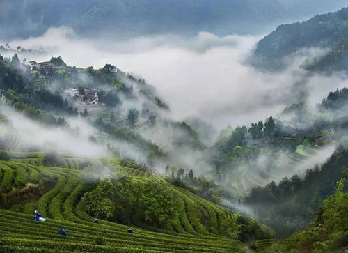溫州佛教傳奇故事 藏在永嘉東嶂村的道濟(jì) 濟(jì)公 禪寺