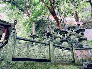 風(fēng)起長林雁蕩山