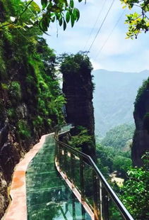 玻璃棧道 誰(shuí)說(shuō)只能去張家界