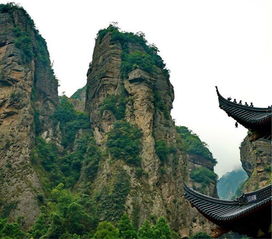 去溫州旅游有什么值得去的景區(qū)嗎