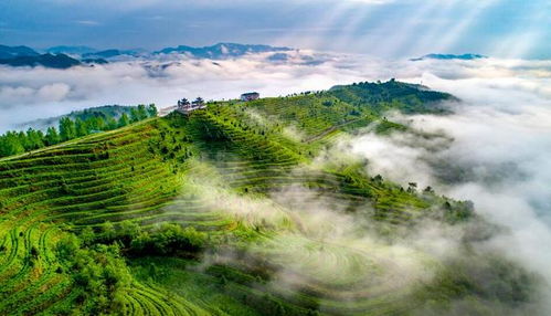 貴州省黔南州2021年3月最新擬在建工程項(xiàng)目匯總