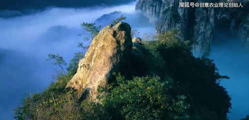 創(chuàng)意農(nóng)業(yè)頭條推薦丨樂清這個(gè)地方花開得正盛,賞花線路新鮮出爐