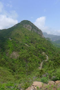 雁蕩山獅子山五馬尖筋竹澗山林中的健身步道