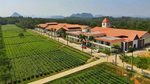 英德8個地方獲評清遠農業公園