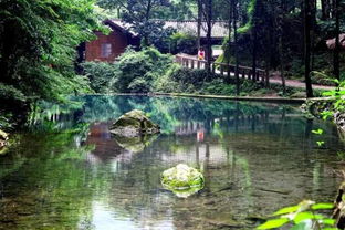 森林旅游一年好時節 購一卡通領微信紅包 免費入住森林公園