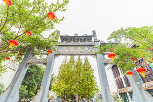 從雁蕩山到楠溪江,我在溫州尋找關于詩的故事