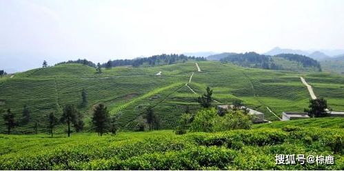 開陽 小 硒 帶動大發展