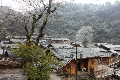 清明節去哪玩 貴州14個地方不錯