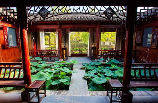 種草必讀 | 華中地區(qū)超in網(wǎng)紅酒店，有顏又有趣·雁蕩山茶苑