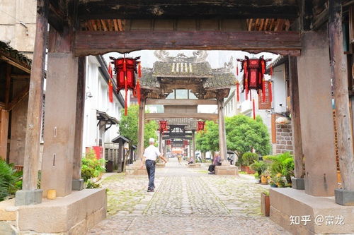 牌樓深處的秘密 雁蕩山南閣古村與茶苑的千年印記