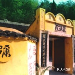 雁蕩山茶苑 品味山水間的清雅時(shí)光