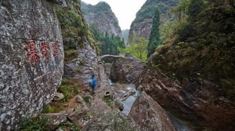 雁湖景區(qū)與雁蕩山茶苑 門票價(jià)格與團(tuán)購指南
