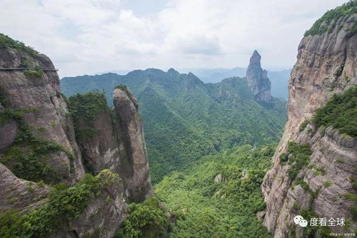 煥發(fā)活力 探索雁蕩山 體驗(yàn)大自然的養(yǎng)心之旅與雁蕩山茶苑