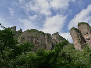 雁蕩山茶苑 帶著天天看世界，品味溫州山水茶韻