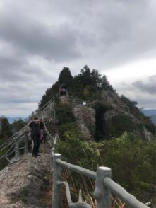 王十朋故里與中雁蕩山游記 雁蕩山茶苑的山水詩情