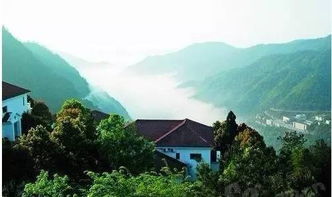 溫州七大避暑勝地，邊避暑邊看奧運 雁蕩山茶苑