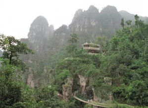 最美的張家界竟然藏在桂林附近？雁蕩山茶苑美爆了