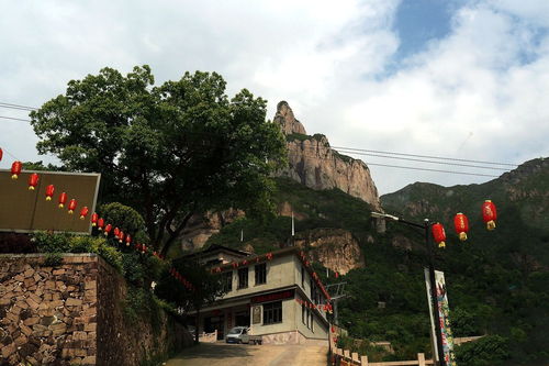 雁蕩山游記 茶苑清韻