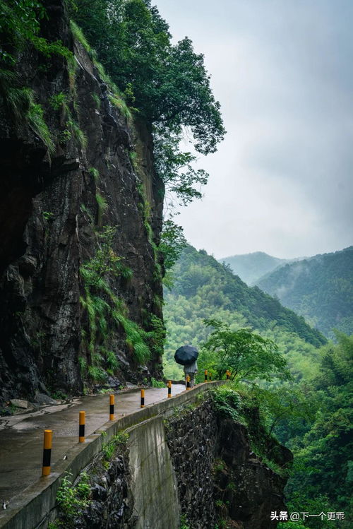 杭州版小雁蕩山，富春山居里的水墨仙境 雁蕩山茶苑