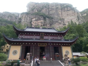 大王叫我來巡山 雁蕩武夷三人行，人間至味在茶苑