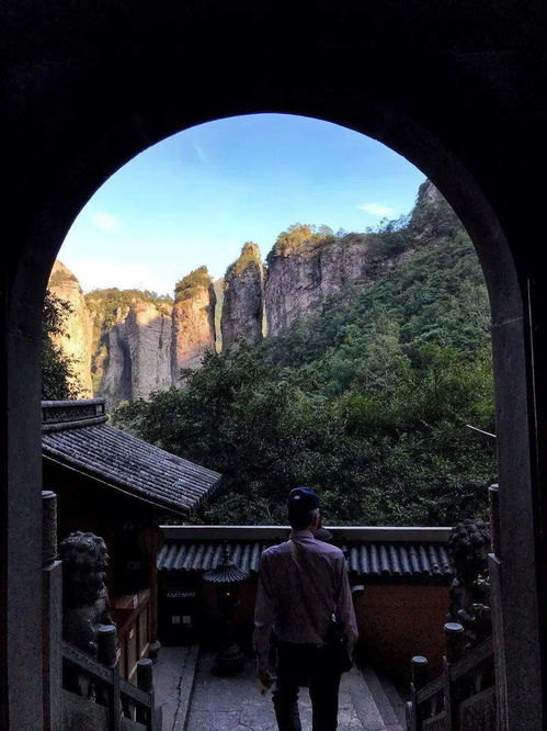 雁蕩山茶苑 秋日花海，如夢仙境