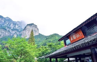 名山篇丨五個(gè)男人在雁蕩山建了一間酒店，大受追捧