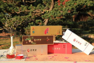 他們嚼鮮葉、學(xué)氣象、茶園養(yǎng)雞，只為奉上中秋好茶禮——雁蕩山茶苑的匠心堅(jiān)守